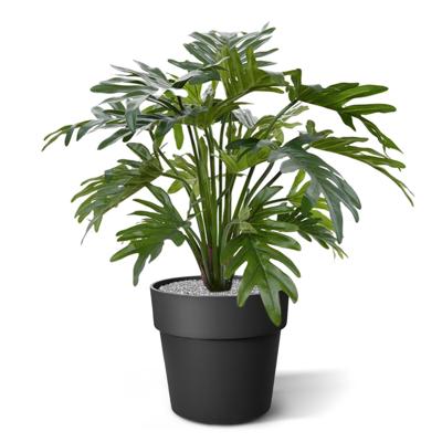 Philodendron Xanadu kunstplant 50cm