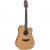 Takamine GD20CE-NS elektr.akoest. westerngitaar ceder top natural satin - thumbnail
