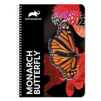 Animal Planet notitieboek Vlinder 17 x 25 cm 60 pagina's - thumbnail
