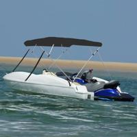 VidaXL Biminitop 4 bogen 243x196x137 cm zwart - thumbnail