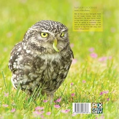 Pixfactory Natuurfotografie voor uilskuikens