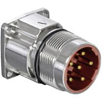 Industriestekker M23 serie 923 - vermogensstekker BEGA116MR14000200C00 BEGA116MR14000200C00 Intercontec Inhoud: 1 stuk(s) - thumbnail