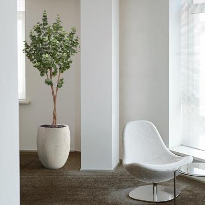 Eucalyptus Kunstboom op stam 170cm