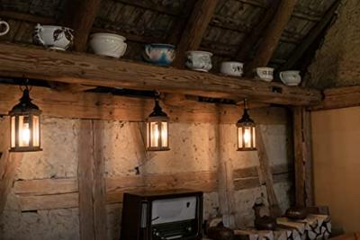 LED lamp Edison dimbaar 470 Lumen 6W E27 filament Segula 55298