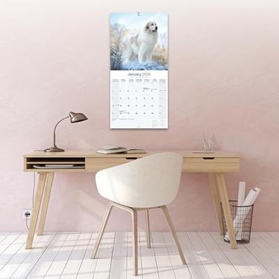 Pyreneese Berghond Kalender 2026 Pyreneese Berghond Kalender 2026