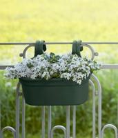 Elho Green Basics Balkonbak Blad Groen 35cm - thumbnail