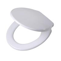 Tiger Toiletzitting Burton Softclose Duroplast Wit - thumbnail