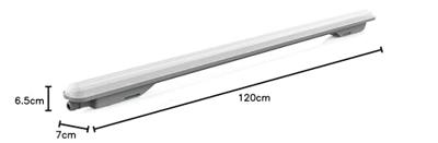 Müller-Licht Aquaprofi 120 Kuiplamp voor vochtige ruimte LED LED 31.6 W Neutraalwit Grijs (mat), Wit - thumbnail