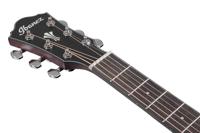 Ibanez AEG50-BAM Black Aurora Burst Matte elektrisch-akoestische westerngitaar - thumbnail