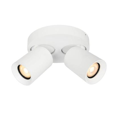 Artdelight Ronde plafondlampMegano 2-lichts wit - PL MEGANO2-RO WI