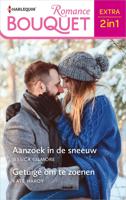 Aanzoek in de sneeuw / Getuige om te zoenen - Jessica Gilmore, Kate Hardy - ebook