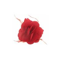 Decoratie of Hawaii/Spaanse haarbloem met veren - rood - 10 x 10 cm