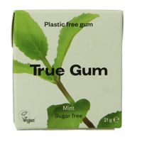 Mint suikervrij 21 Gram