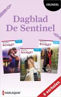 Dagblad De Sentinel - Charlotte Lamb - ebook
