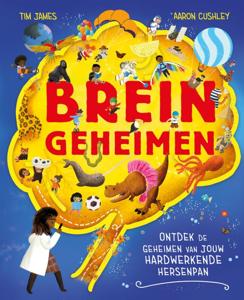 Breingeheimen (Hardback)
