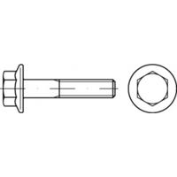 TOOLCRAFT TO-5391663 Zeskantbout M6 12 mm Buitenzeskant Staal Galvanisch verzinkt 500 stuk(s)