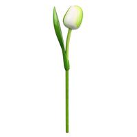 Tulp hout wit/groen35cm