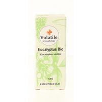 Eucalyptus smithii bio