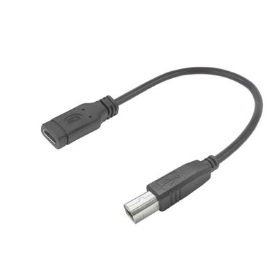 ACT AC7462 USB-kabel | USB-C® female - USB-B 2.0 | Printer Adapterkabel | 20 cm