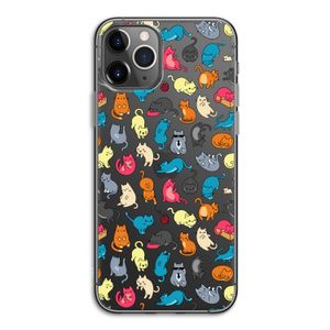 Kleurrijke katten: iPhone 11 Pro Transparant Hoesje
