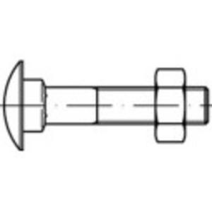 TOOLCRAFT TO-5448237 Platbolschroef M5 16 mm Vierkant DIN 603 Messing 100 stuk(s)