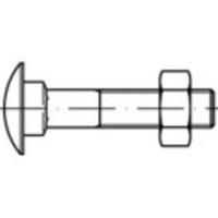 TOOLCRAFT TO-5448237 Platbolschroef M5 16 mm Vierkant DIN 603 Messing 100 stuk(s)