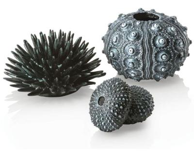 biOrb zee-egel set zwart - Oase