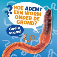 Hoe ademt een worm onder de grond? (Hardback)