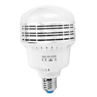 MANTOO PGL35 35W 230V 5500K 3900LM LED-gloeilamp voor fotografie-verlichting