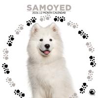 Samojeed Kalender 2026