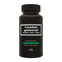 APB Holland Canadese geelwortel extract puur forte 480mg 90 Vegetarische capsules