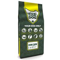 Yourdog Chow chow volwassen