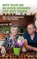 Het zijn de kleine dingen die het doen (Paperback)