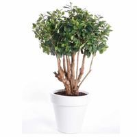 Kunstplant ficus groen in witte ronde pot 70 cm   - - thumbnail