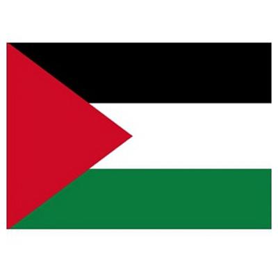 Vlag van Palestina stickers - 10x stuks - 7.5 x 10 cm - Binnen/buiten Vlag van Palestina stickers - 10x stuks - 7.5 x 10 cm - Binnen/buiten