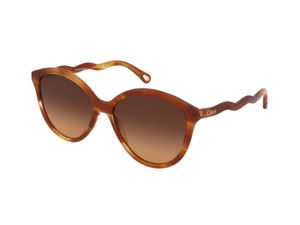 Zonnebrillen Chloe CH0087S 002