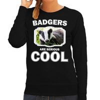 Sweater badgers are serious cool zwart dames - dassen/ das trui 2XL  -