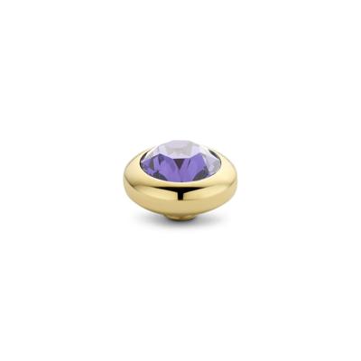 Melano Vivid Basic CZ Steentje Tanzanite | Goud