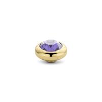 Melano Vivid Basic CZ Steentje Tanzanite | Goud