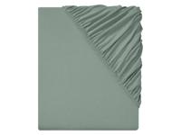 LIVARNO home Jersey hoeslaken 140-160 x 200 cm (Groen)