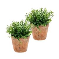 Kunstplant eucalyptus - 2x - groen - in oud terracotta pot - 20 cm