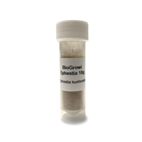 Ephestia Eitjes - 10 gram