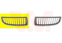 Radiateurgrille ** Equipart ** VAN WEZEL, Inbouwplaats: rechts, u.a. fÃ¼r BMW