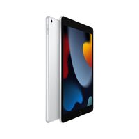 Apple iPad 256 GB 25,9 cm (10.2") Wi-Fi 5 (802.11ac) iPadOS 15 Zilver - thumbnail