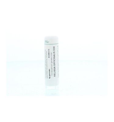 Melissa officinalis D30