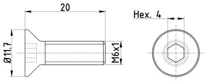 Schroef, remschijf TPM0015