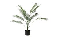 Decostar Dryopteris plant 95 cm groen