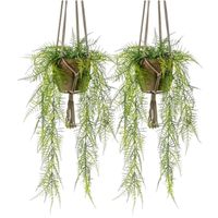 2x Kunstplant hangplanten varen in oude terracotta pot 16 cm - thumbnail