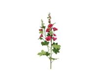 Kunstbloem Alcea 180x24x14 cm d.rz - Countryfield