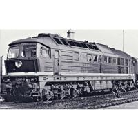 Piko H0 52773 H0 Dieselloc BR 142 van de DR